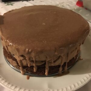 Chocolate and malt mousse cake